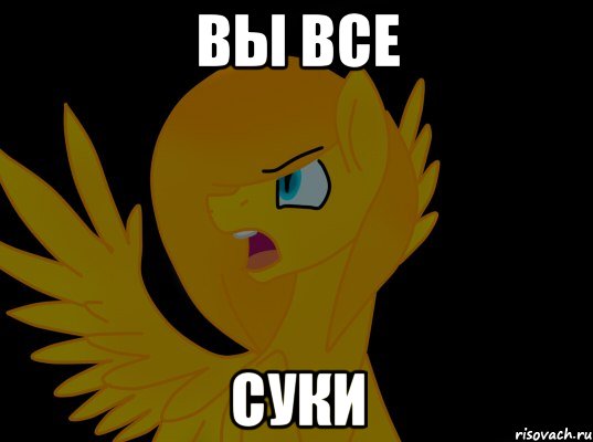 вы все суки