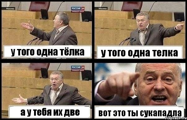 у того одна тёлка у того одна телка а у тебя их две вот это ты сукападла, Комикс с Жириновским