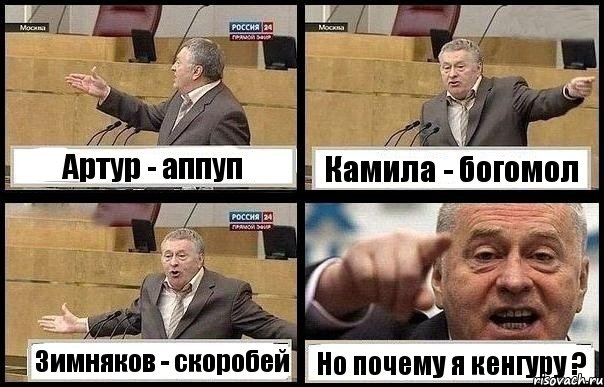 Артур - аппуп Камила - богомол Зимняков - скоробей Но почему я кенгуру ?, Комикс с Жириновским