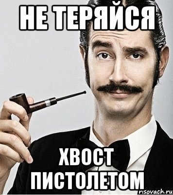 не теряйся хвост пистолетом