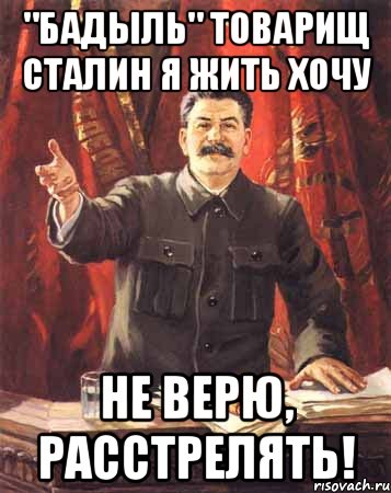 "Бадыль" товарищ Сталин я жить хочу не верю, расстрелять!, Мем  сталин цветной
