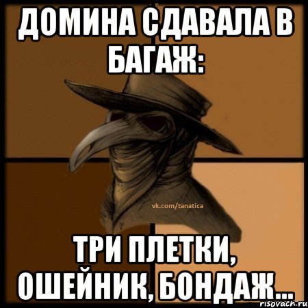 Домина сдавала в багаж: три плетки, ошейник, бондаж..., Мем  Чума