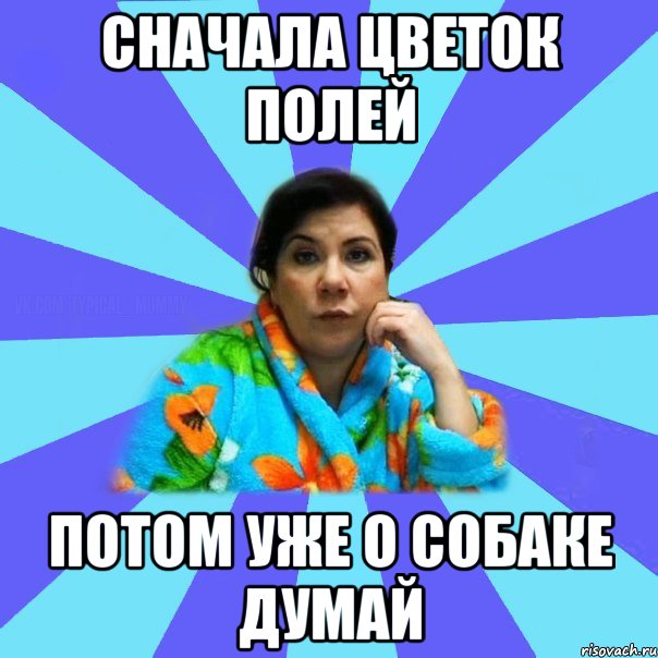 Сначала цветок полей Потом уже о собаке думай, Мем типичная мама