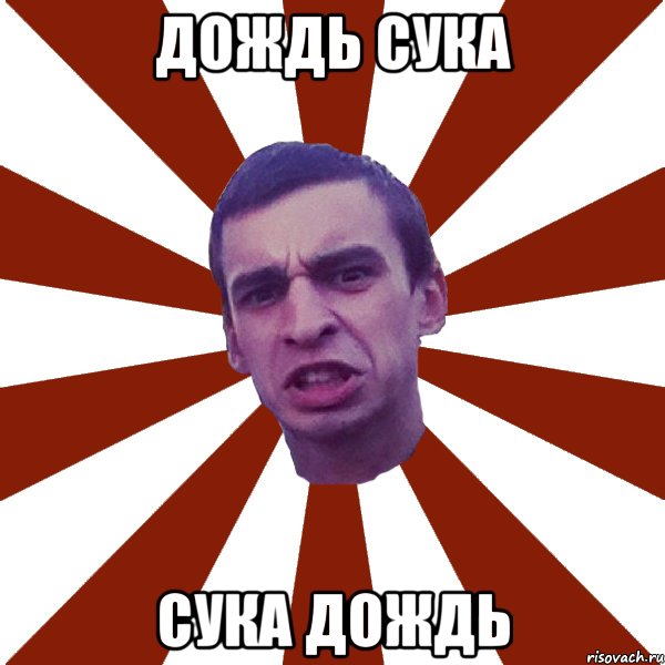 Ая сука сука. Ливень Мем. Типичный Сокол. Мем Бог и дождь. Сука сука сука сука ПАПИЧ.