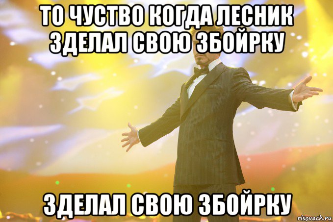 То чуство когда лесник зделал свою збойрку зделал свою збойрку, Мем Тони Старк (Роберт Дауни младший)