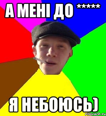 А мені до ***** я небоюсь), Мем умный гопник