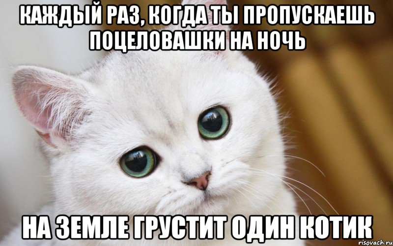 Каждый раз, когда ты пропускаешь поцеловашки на ночь На Земле грустит один котик, Мем  В мире грустит один котик