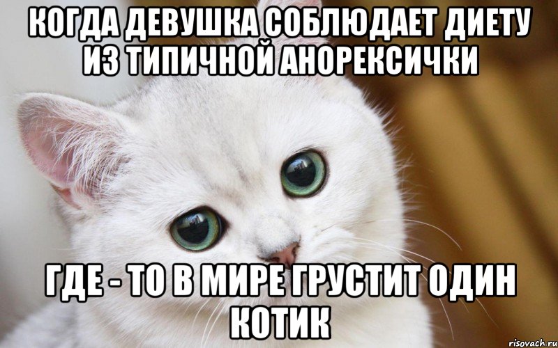 Когда девушка соблюдает диету из Типичной Анорексички Где - то в мире грустит один котик, Мем  В мире грустит один котик