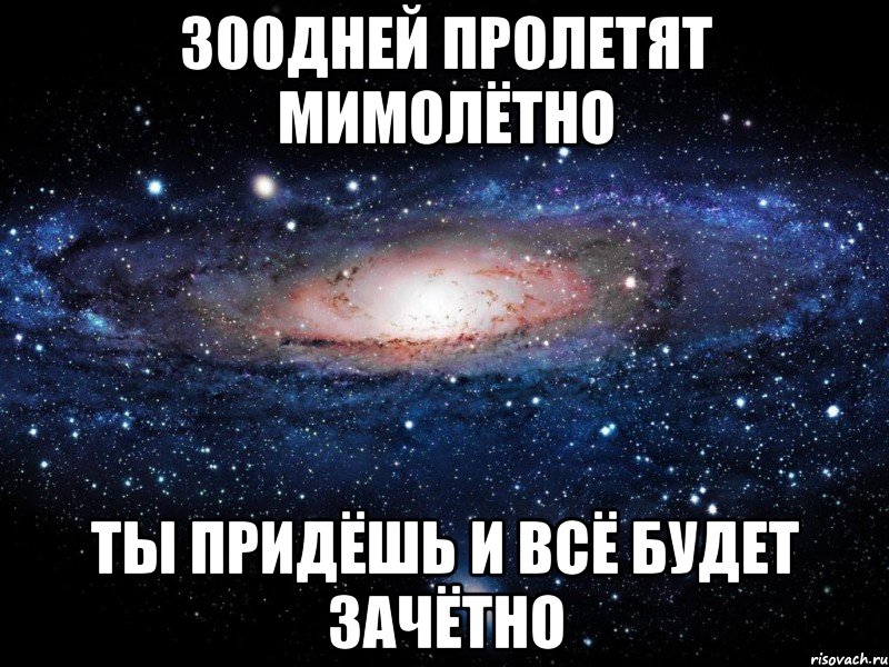 300 суток