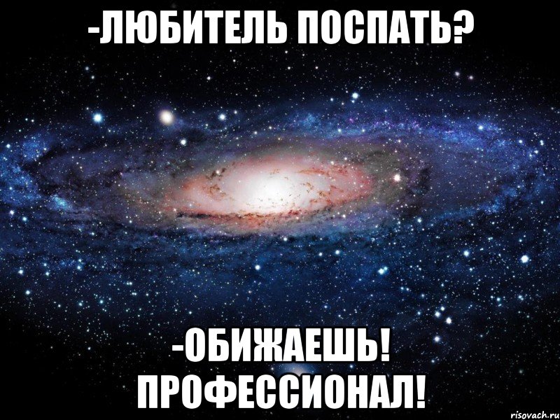 -Любитель поспать? -Обижаешь! Профессионал!, Мем Вселенная