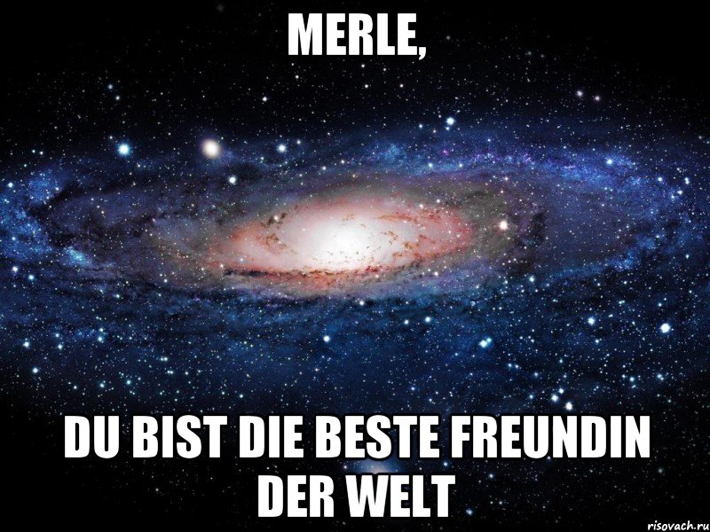 merle, du bist die beste Freundin der welt, Мем Вселенная