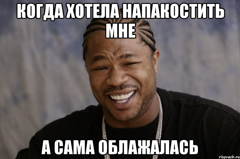 Когда хотела напакостить мне А сама облажалась, Мем Xzibit