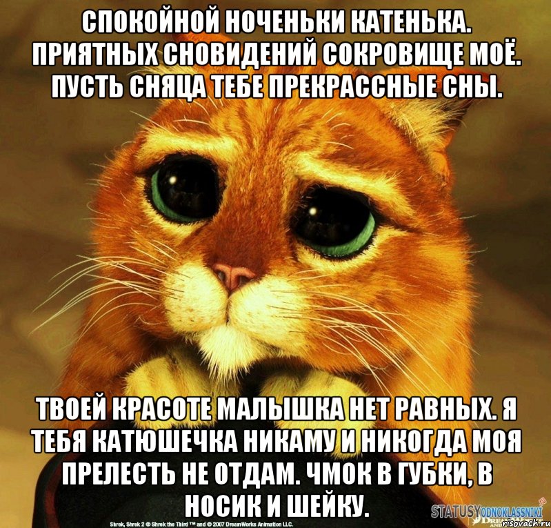 спокойной ноченьки катенька. приятных сновидений сокровище моë. пусть сняца тебе прекрассные сны. твоей красоте малышка нет равных. я тебя катюшечка никаму и никогда моя прелесть не отдам. чмок в губки, в носик и шейку., Мем Котик из Шрека