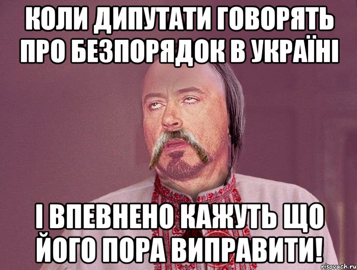 Коли дипутати говорять про безпорядок в Україні і впевнено кажуть що його пора виправити!