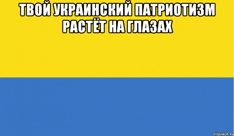 Можно на укр. Мемы про Украину. Украинские мемы. Украинский флаг мемы. Слава Украине флаг.