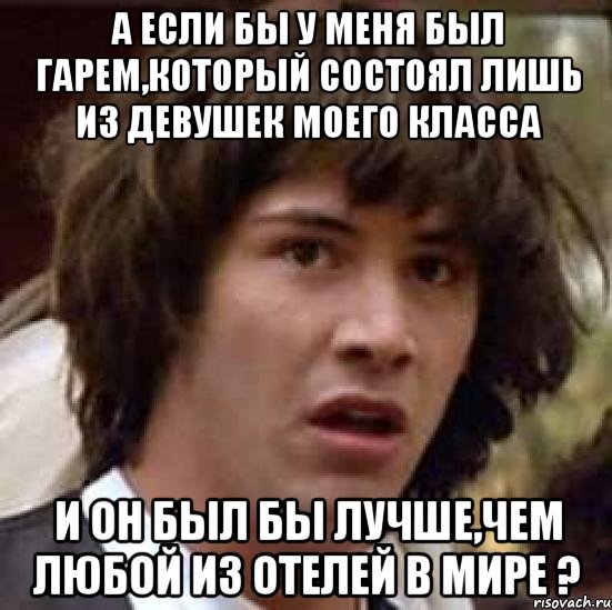 А если бы у меня был гарем,который состоял лишь из девушек моего класса И он был бы лучше,чем любой из отелей в мире ?, Мем А что если (Киану Ривз)