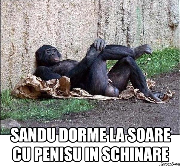  sandu dorme la soare cu penisu in schinare