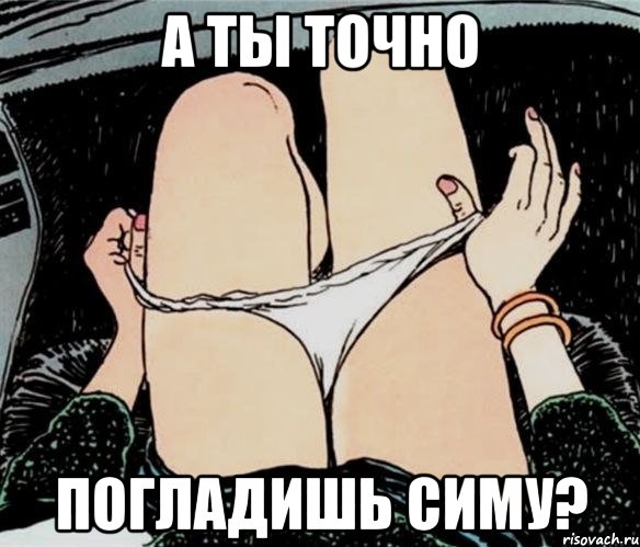 а ты точно погладишь Симу?, Мем А ты точно