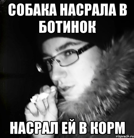 Собака подавилась кормом мем Собака насрала в ботинок Насрал ей в корм, Мем а - Рисовач .Ру