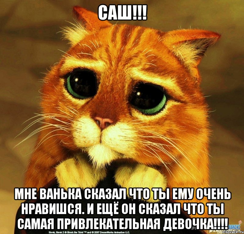 Саш!!! Мне Ванька сказал что ты ему очень нравишся. И ещё он сказал что ты самая привлекательная девочка!!!!, Мем Котик из Шрека