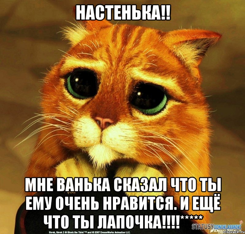 Настенька!! Мне Ванька сказал что ты ему очень нравится. И ещё что ты лапочка!!!!*****, Мем Котик из Шрека