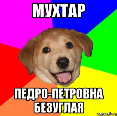 мухтар педро-петровна безуглая, Мем Advice Dog