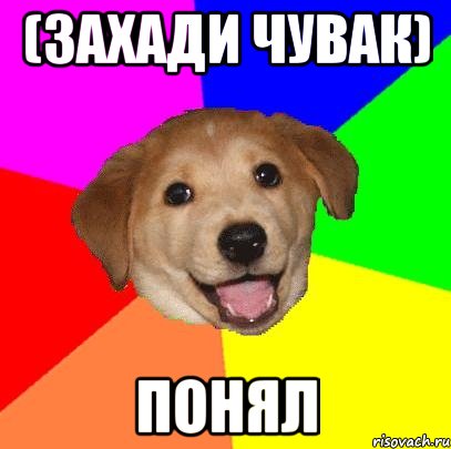 (захади чувак) понял, Мем Advice Dog