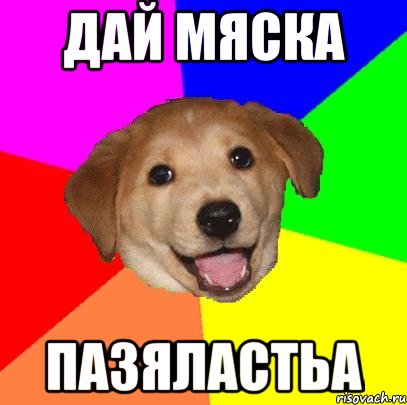 дай мяска пазяластьа, Мем Advice Dog