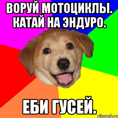 Воруй мотоциклы. Катай на эндуро. Еби гусей., Мем Advice Dog