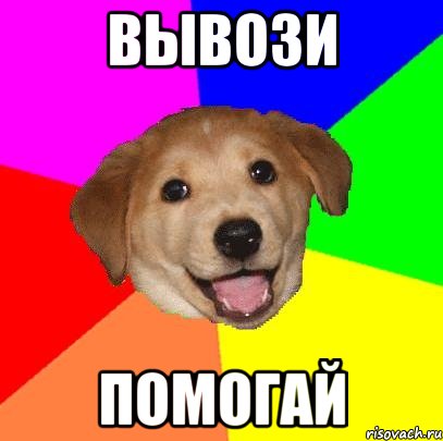 ВЫВОЗИ ПОМОГАЙ, Мем Advice Dog