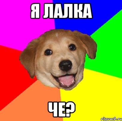 Я ЛАЛКА ЧЕ?, Мем Advice Dog