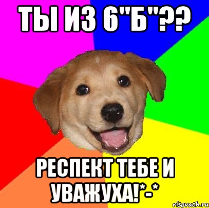 Ты из 6"Б"?? Респект тебе и уважуха!*-*, Мем Advice Dog