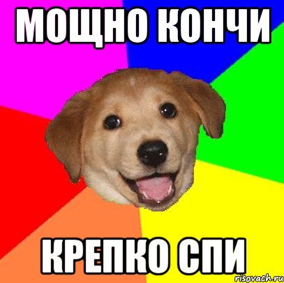 Мощно кончи Крепко спи, Мем Advice Dog