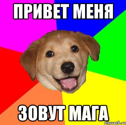 Привет меня зовут мага, Мем Advice Dog