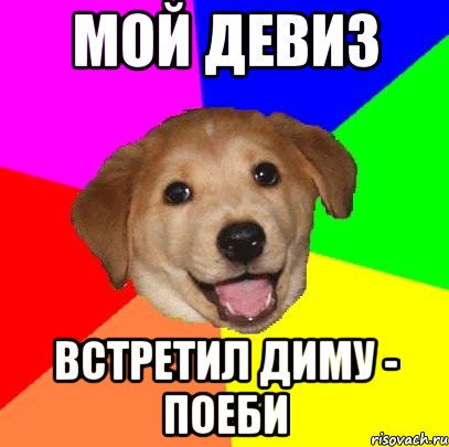 МОЙ ДЕВИЗ ВСТРЕТИЛ ДИМУ - ПОЕБИ, Мем Advice Dog