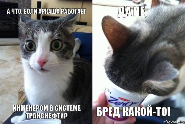 А что, если Аркаша работает Да не, инженером в системе Транснефти? бред какой-то!, Комикс  Да не бред какой-то (4 зоны)