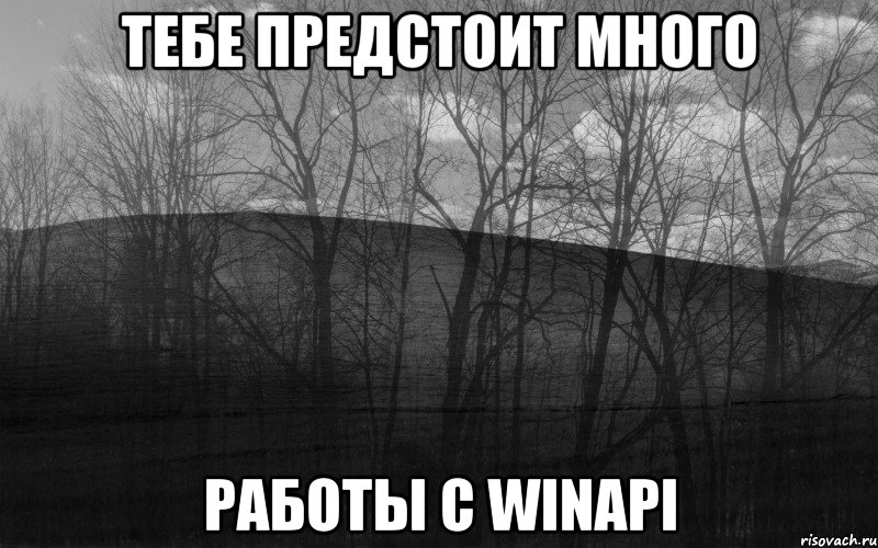 Тебе предстоит много работы с WINAPI, Мем безысходность тлен боль