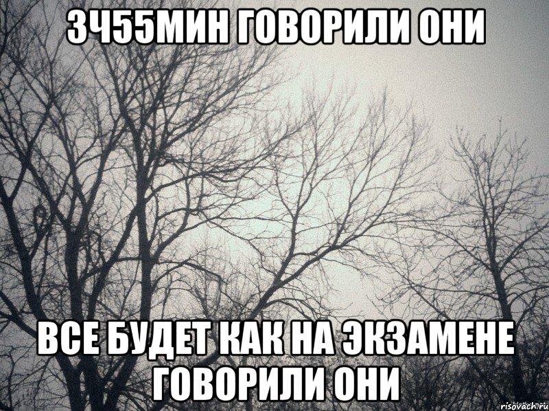 3ч55мин говорили они все будет как на экзамене говорили они, Мем  будет весело говорили они