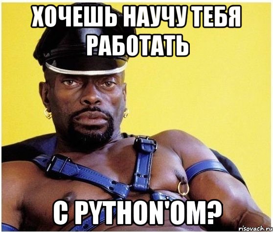 Хочешь научу тебя работать с python'ом?, Мем Черный властелин