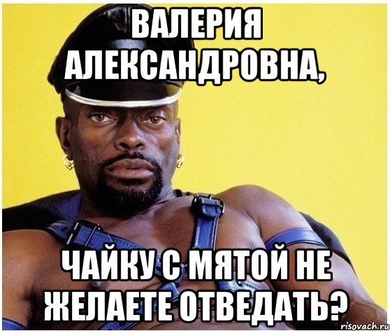 Валерия Александровна, чайку с мятой не желаете отведать?, Мем Черный властелин