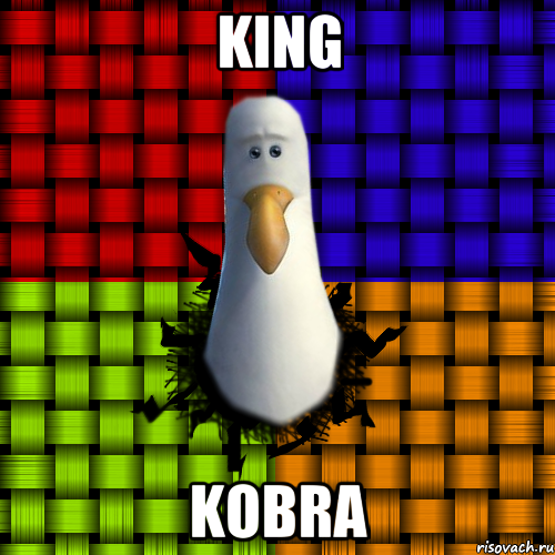 King Kobra