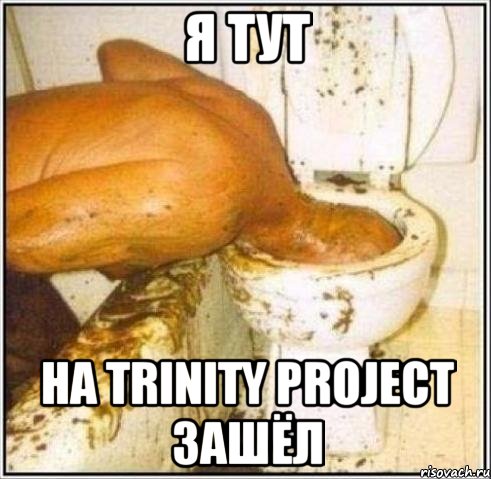 я тут на Trinity Project зашёл, Мем Дайвер