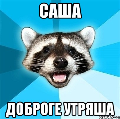 Саша Доброге утряша