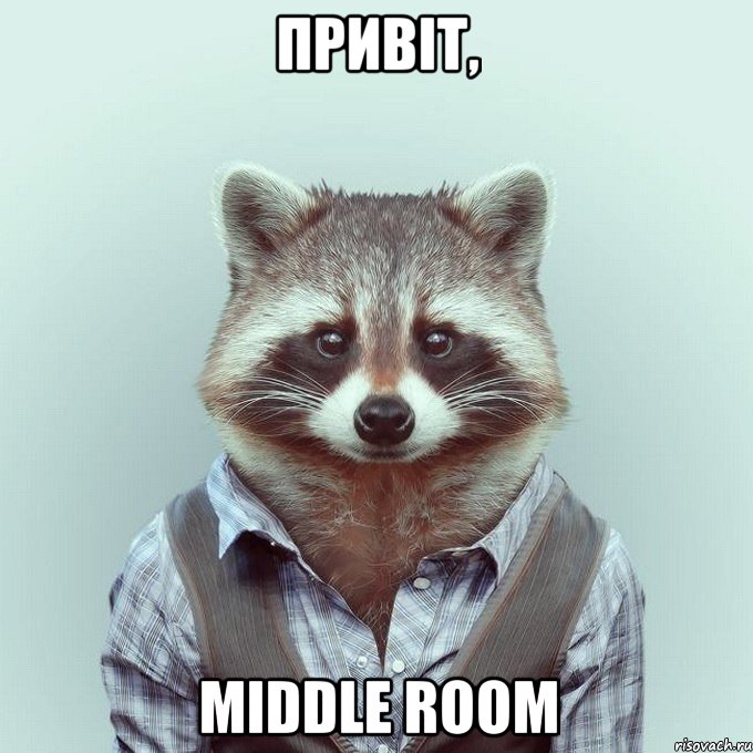 привіт, middle room, Мем  Енот в рубашке