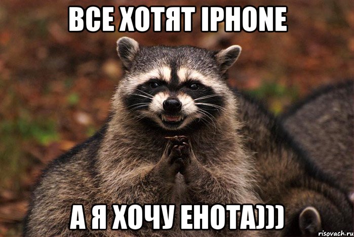 Все хотят iPhone А я хочу енота))), Мем  Хитрый енот