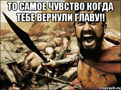 То самое чувство когда тебе вернули главу!! , Мем Это Спарта