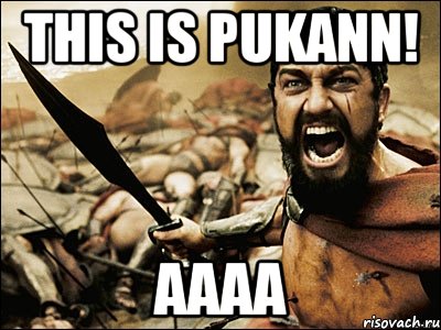 THIS IS PUKANN! AAAA, Мем Это Спарта