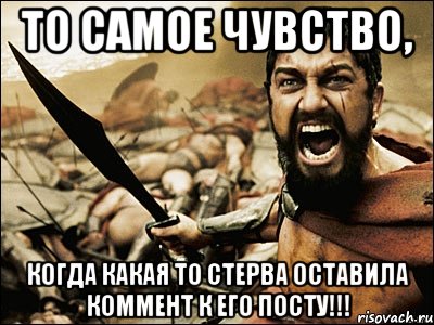 То самое чувство, когда какая то стерва оставила коммент к его посту!!!, Мем Это Спарта