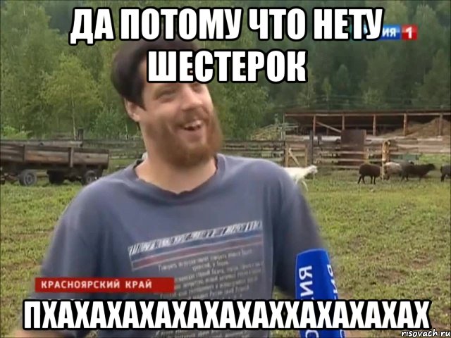 Да потому что нету шестерок ПХАХАХАХАХАХАХАХХАХАХАХАХ, Мем фермер