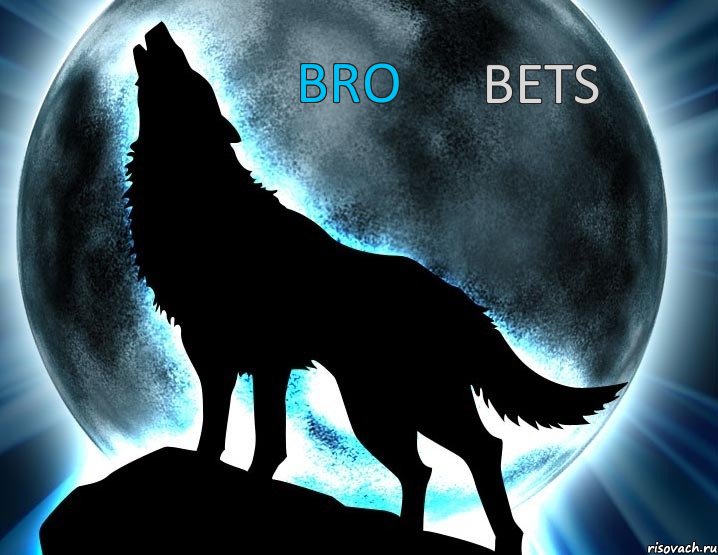 BRO BETS, Комикс fgfgdgdf